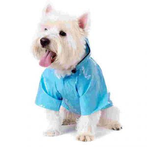 dog-raincoat