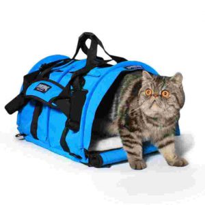 flexible-cat-carrier-1