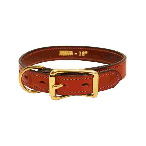 Original Leather Collar -2